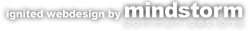 Charlotte Website Design Agency